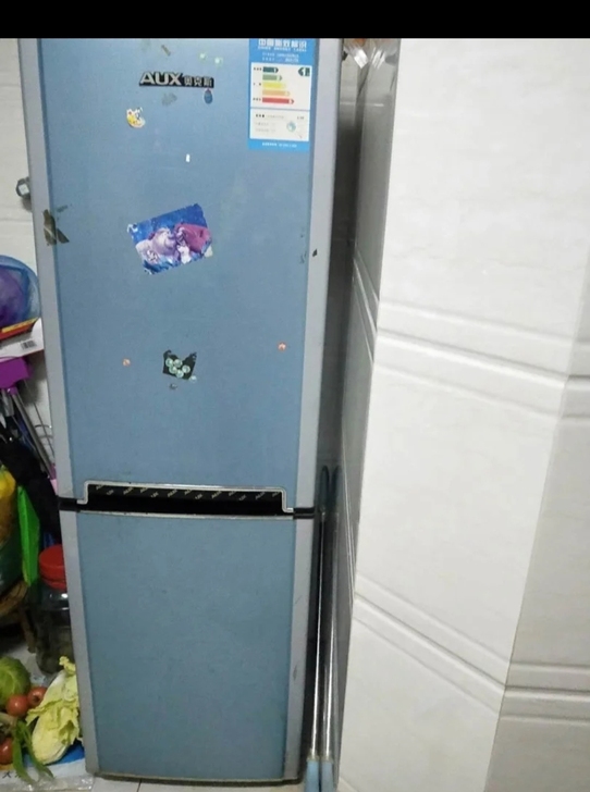 搬家转让奥克斯冰箱
