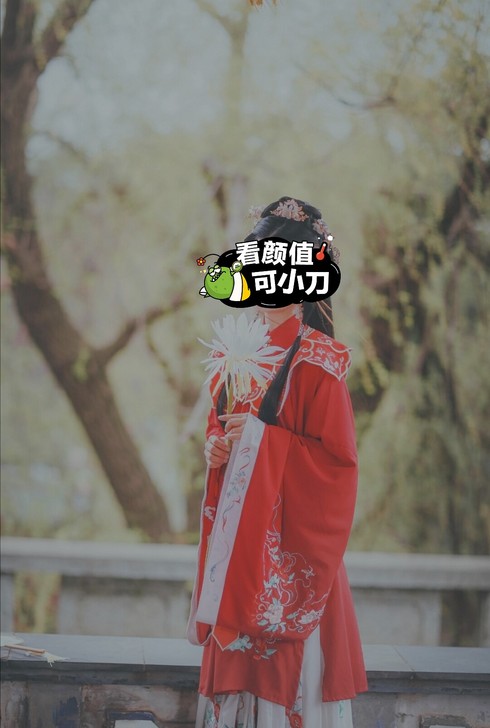 玉术原创汉服女花嫁明制汉服长衫齐腰斜襟云肩...