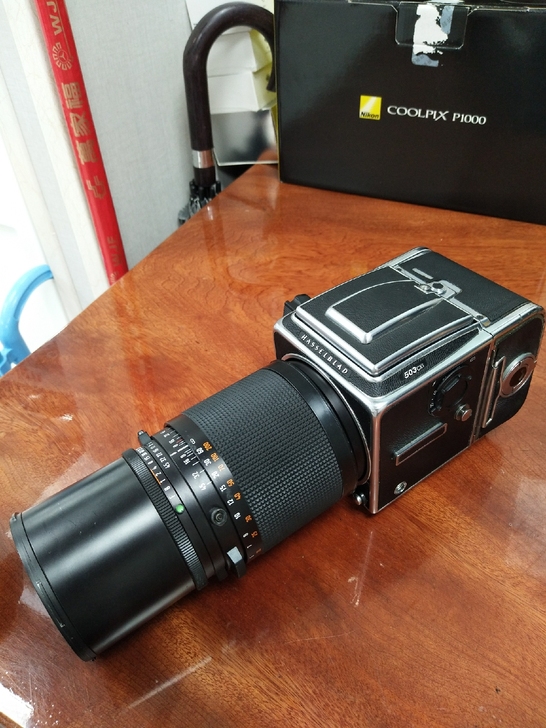 哈苏503cxi相机 哈苏503cxi 中...