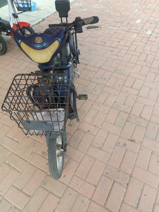 爱玛电动车带脚蹬电池能拿出来充电，新换电瓶...