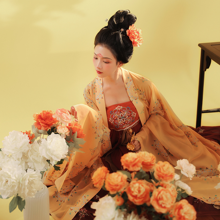 素羽华裳 风华绝代 原创唐制汉服女刺绣诃子...