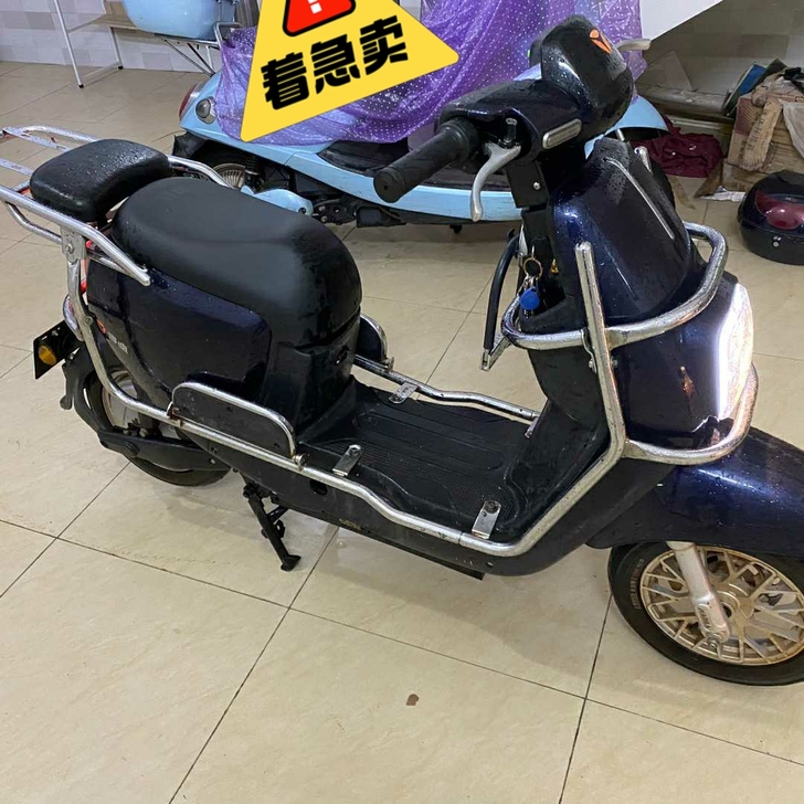 出自用雅迪国标电动车