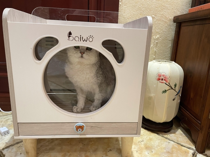【低价清仓】百我猫咪烘干箱宠物烘干机家用小...