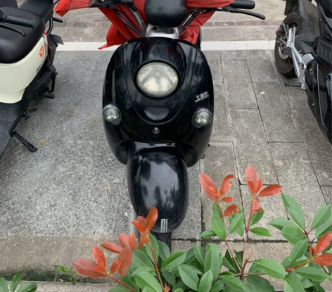 二手电动车转让，七星豹电动车小龟电动车，现...