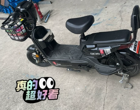 金丝猴长跑王电动车超长续航电动车电动车男女...