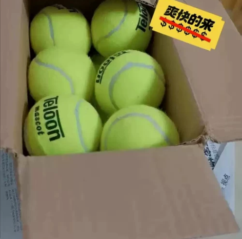 【全新正品特价清仓】网球taloon全新1...