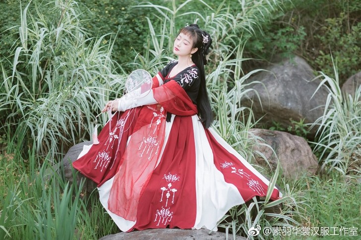 素羽华裳荏苒，