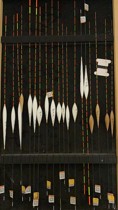 正品 有防伪标黄金眼标王系列鱼票 巴尔杉4...