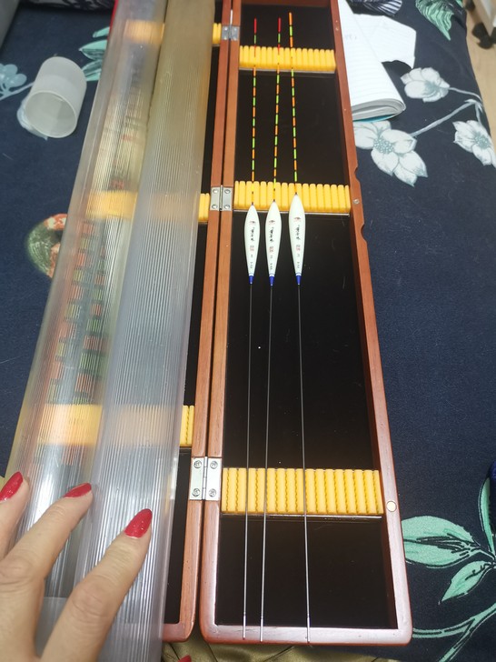 出售黄金眼三只，不单卖，不包邮不退货介意者...