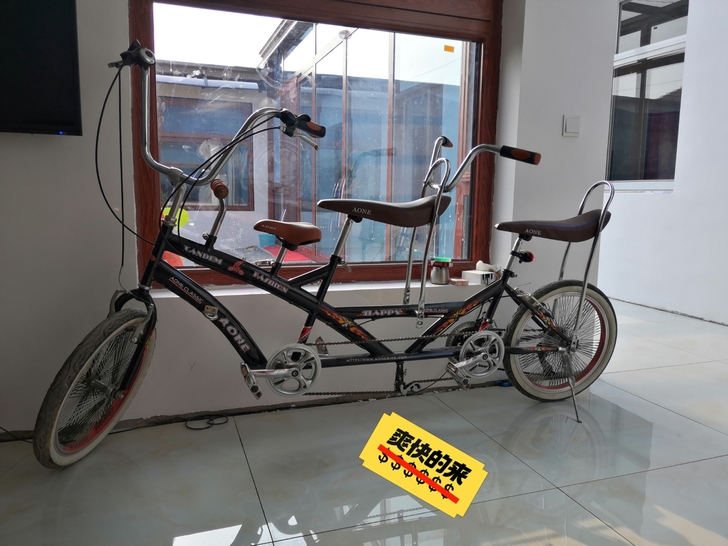 三口之家户外休闲自行车