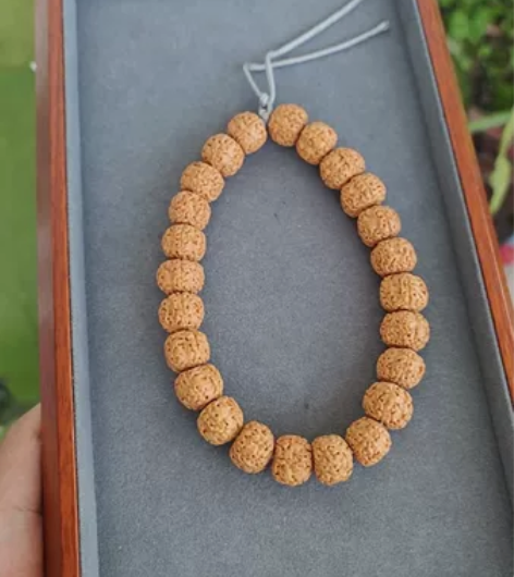 树祖小金刚菩提手持，24颗，5瓣，尺寸13...