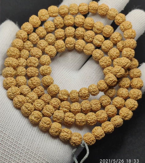 9*7印尼梅花双龙平头平尾树祖树神小金刚菩...