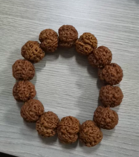 22大+23左右尼泊尔大金刚菩提，14颗籽...