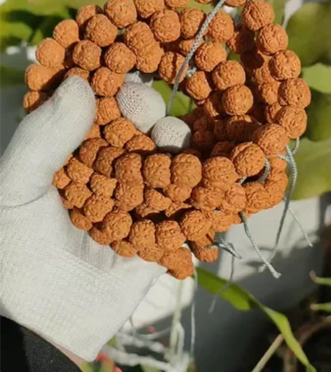 花王小金刚手持单圈，尺寸12~14不等，皮...