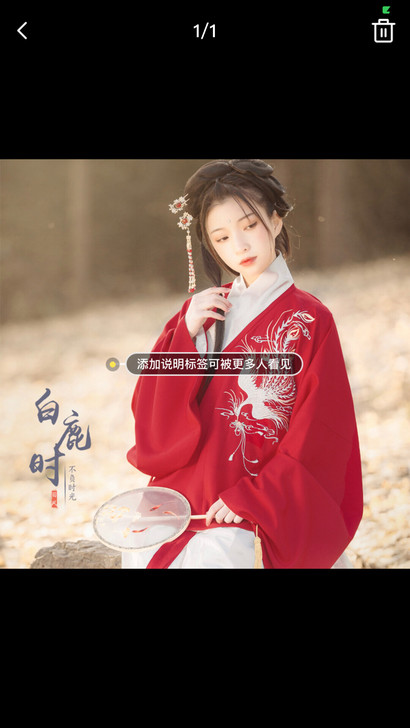 白鹿时-惊鸿 烈阳原创汉服 刺绣 明制交领...