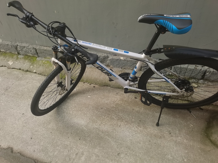 基本全新,骑了两次,没热度了,