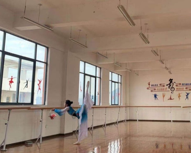 类型：古典舞桃李杯罗敷行舞蹈服装艺考服装成...