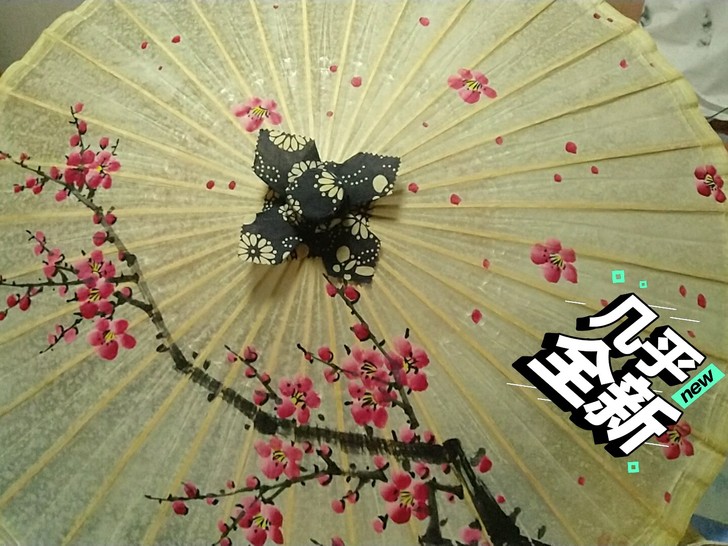 若水堂油纸伞，猫砂猫玩具猫粮猫罐头可以换啊...