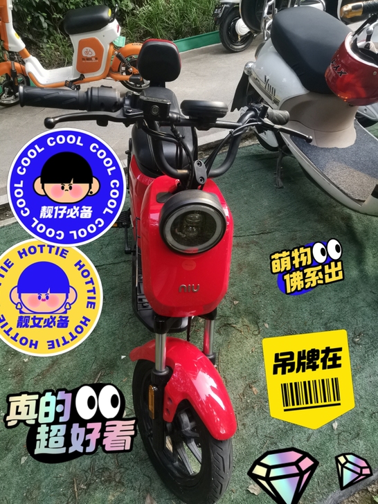 小牛电动车国标电动车