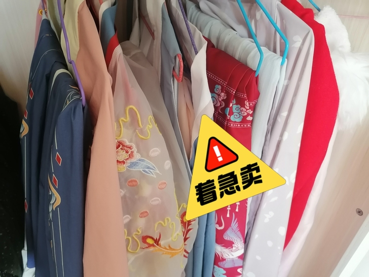 退坑，5套汉服，一件马面，两个斗篷，注：最...