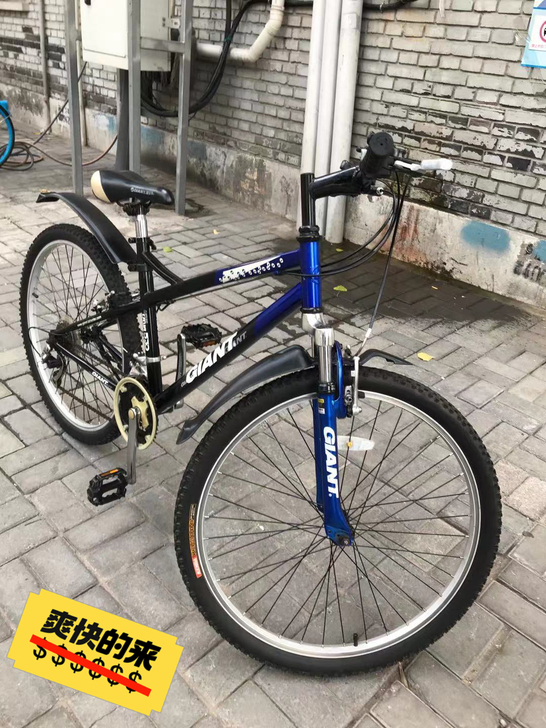 捷安特自行车,只卖300,北京市东城区和平...