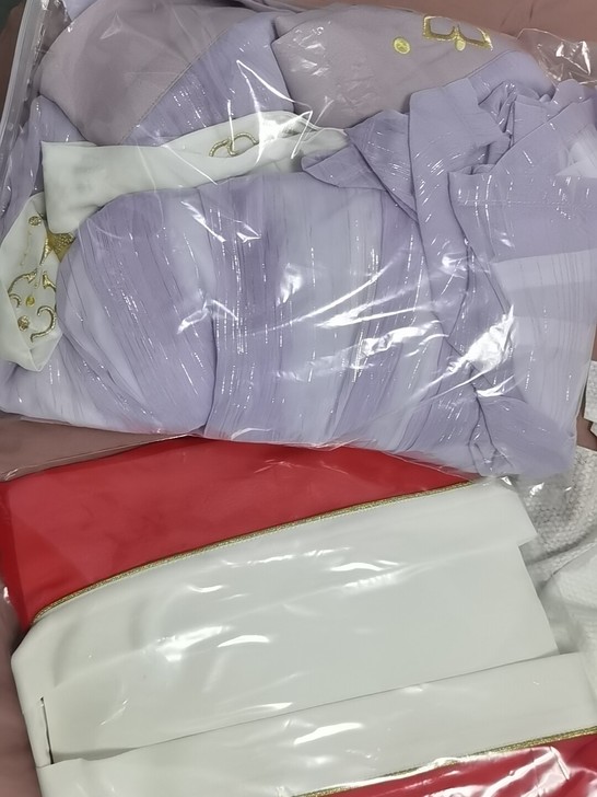 东月棠汉服
