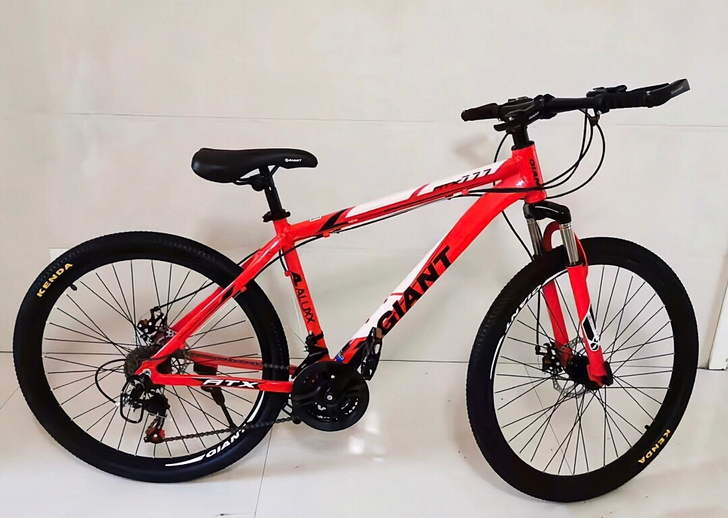 【处理捡漏】捷安特山地车学生男女自行车通勤...