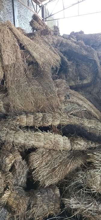 干稻草  可用于种植食用菌和发酵有机肥