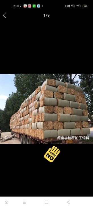 出售秸秆,稻草,干湿玉米秸秆 揉丝饲料
