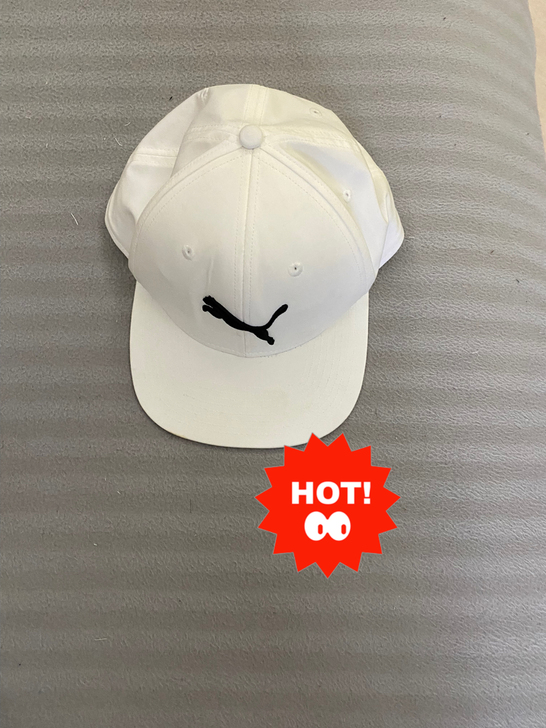 彪马专柜正品棒球帽，只带过一次，几乎全新，