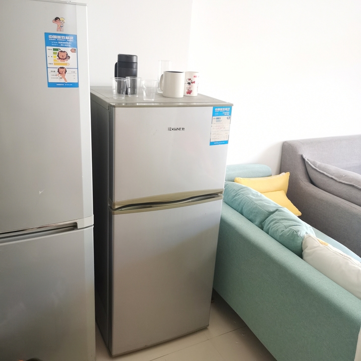 两台冰箱太占地方