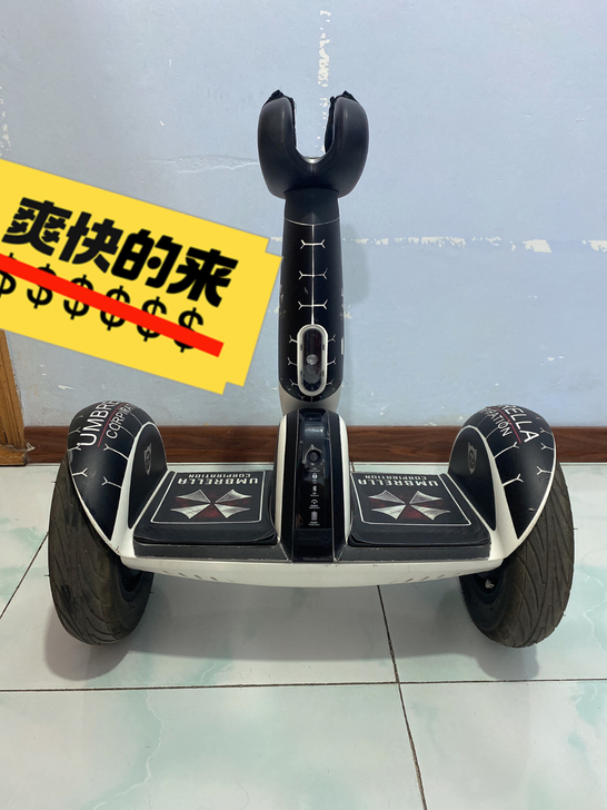 电动平衡车小米9plus，官网买的。