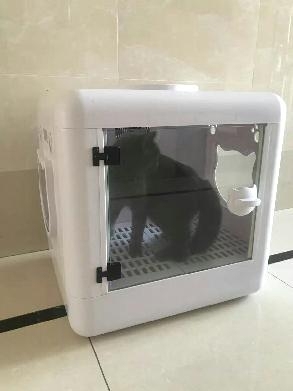宠特价处理物猫咪烘干箱全新包邮【包邮】全自...