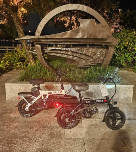 巴都小象折叠电动车纯电续航100公里成人锂...