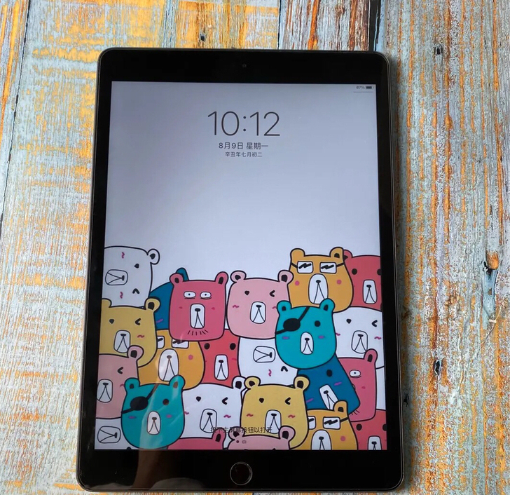 闲置女孩子自用ipad2019平板电脑 闲...