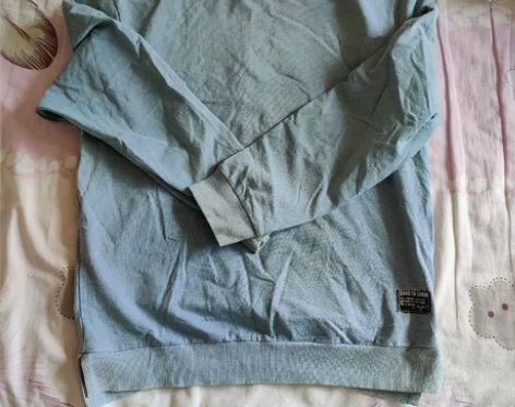 二手JASONWOOD坚持我的 男刺绣卫衣...