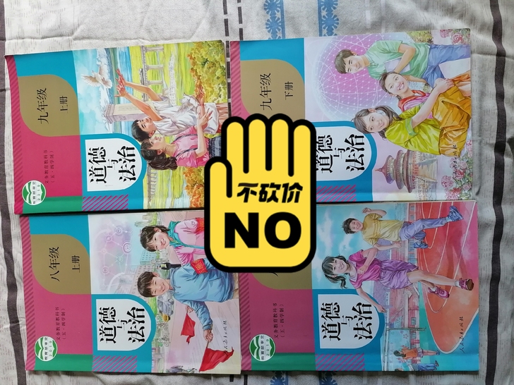 初中道德与法治四本全书带学霸笔记+知识整理...