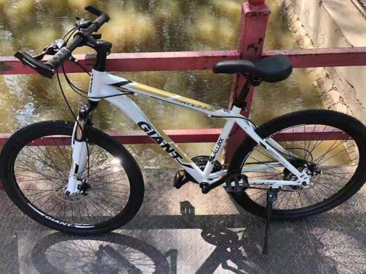 捷安特山地车自行车男女中青年学生变速单车减...