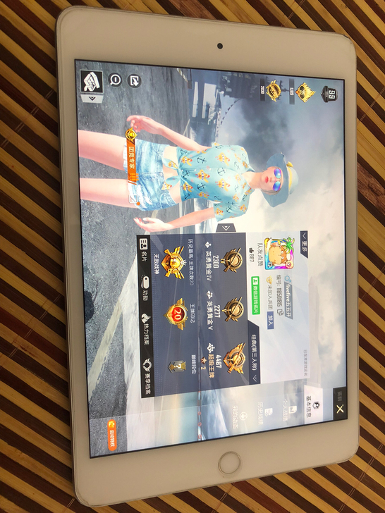 出自用iPad mini5.本人打游戏专用...