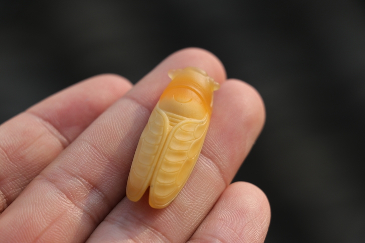 【天鱼艺术玉雕工作室出品】蝉