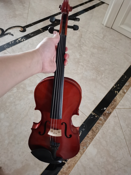 成人小提琴,4/4,未使用,太懒了,放了挺...