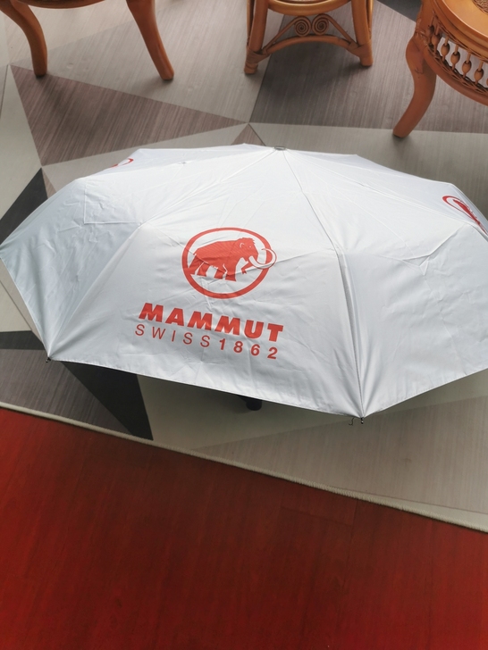 猛犸象雨伞！全新！有一点点脏！看图五！介意...