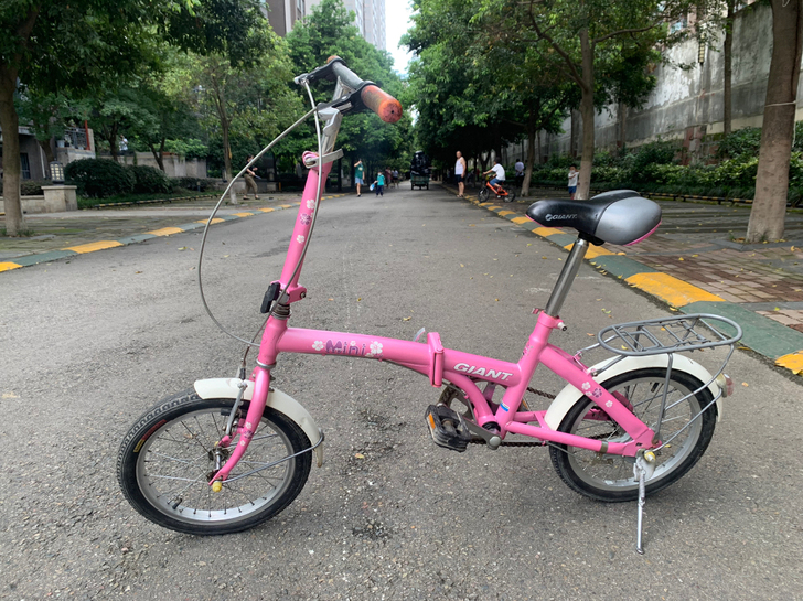 捷安特折叠自行车,捷安特mini,16寸,...