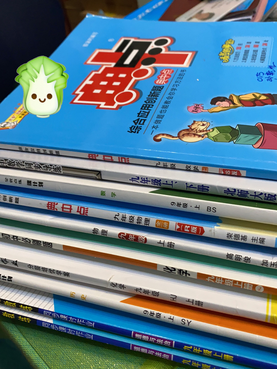 九上典中点数学 物理 初中必刷题化学 全优...