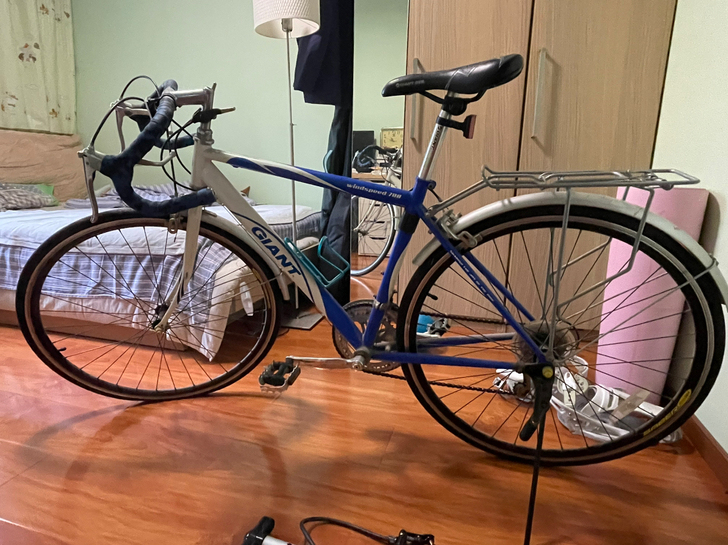 捷安特风速700，08年专卖店购入。之前上...