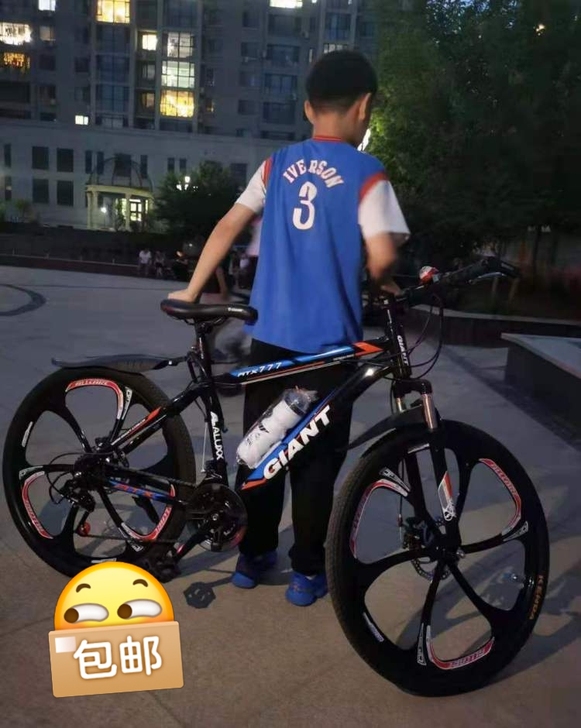 【低价处理】捷安特山地车自行车六刀一体轮男...