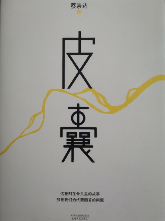 蔡崇达先生的《皮囊》