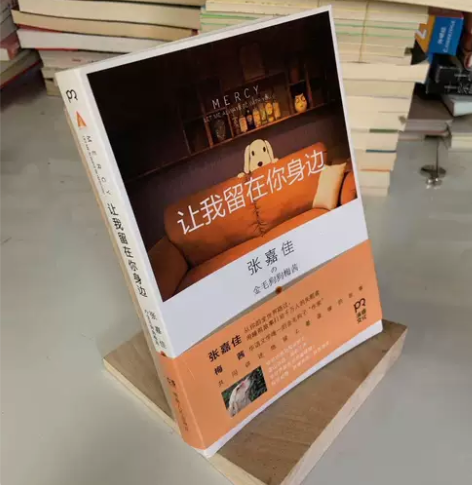 正版二手 让我留在你身边  湖南人民出版社...
