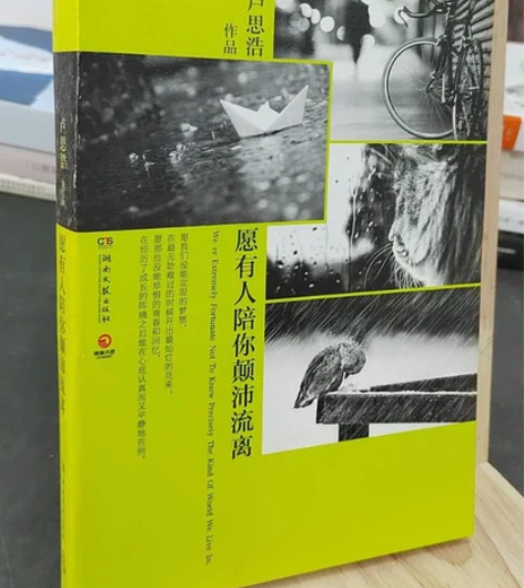 正版二手 愿有人陪你颠沛流离 卢思浩 湖南...
