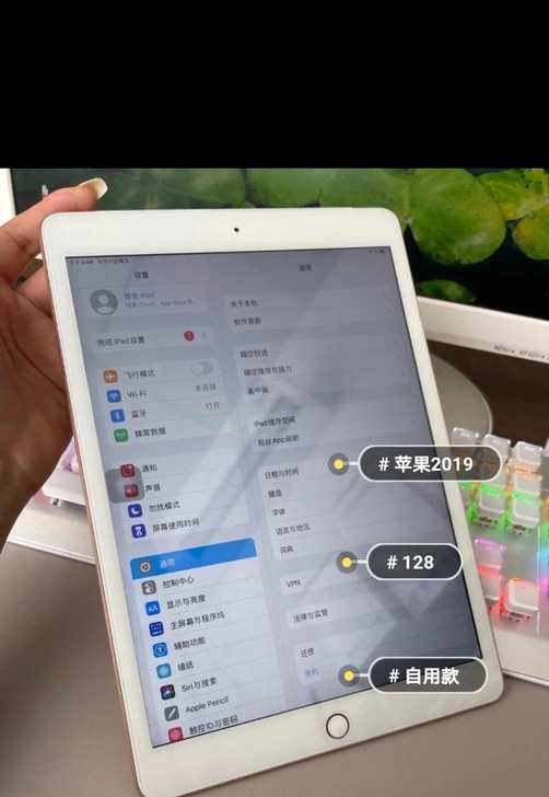 闲置转   iPad2019，送电容笔。插...